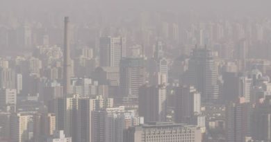 Tips For Breathing Easy In Polluted Cities